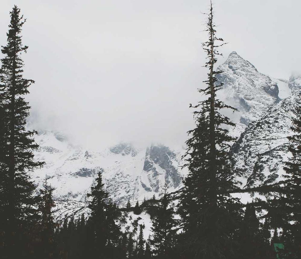 技术支持对游戏更新和维护的影响有哪些？