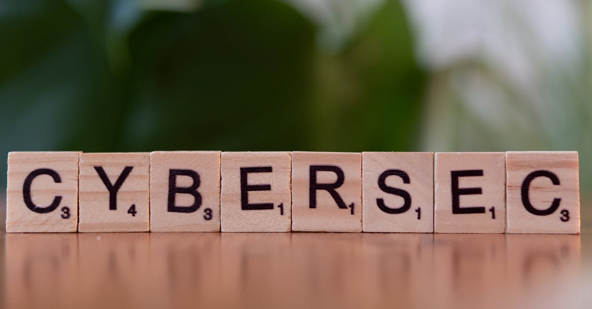 天下贰辅助- 成都餐饮服务平台加盟代理