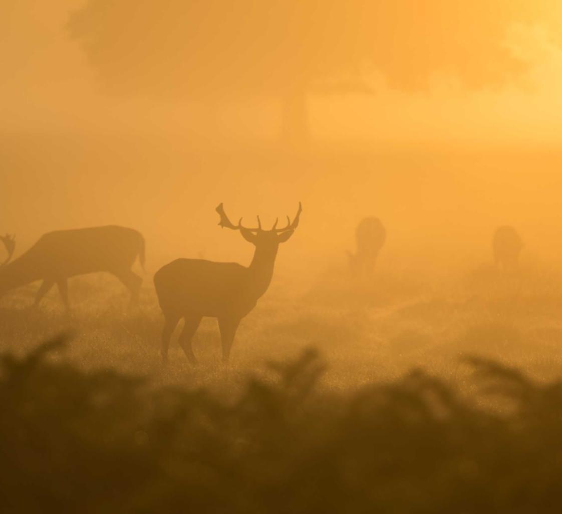 五种营销方式帮助企业增长