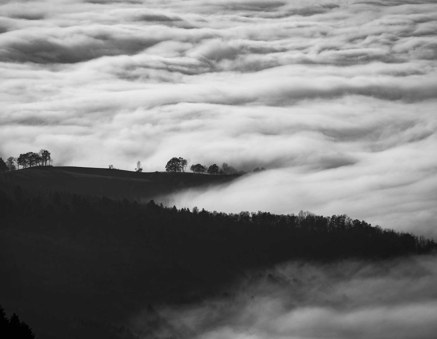 如何分析竞争对手SEO策略,制定优化计划