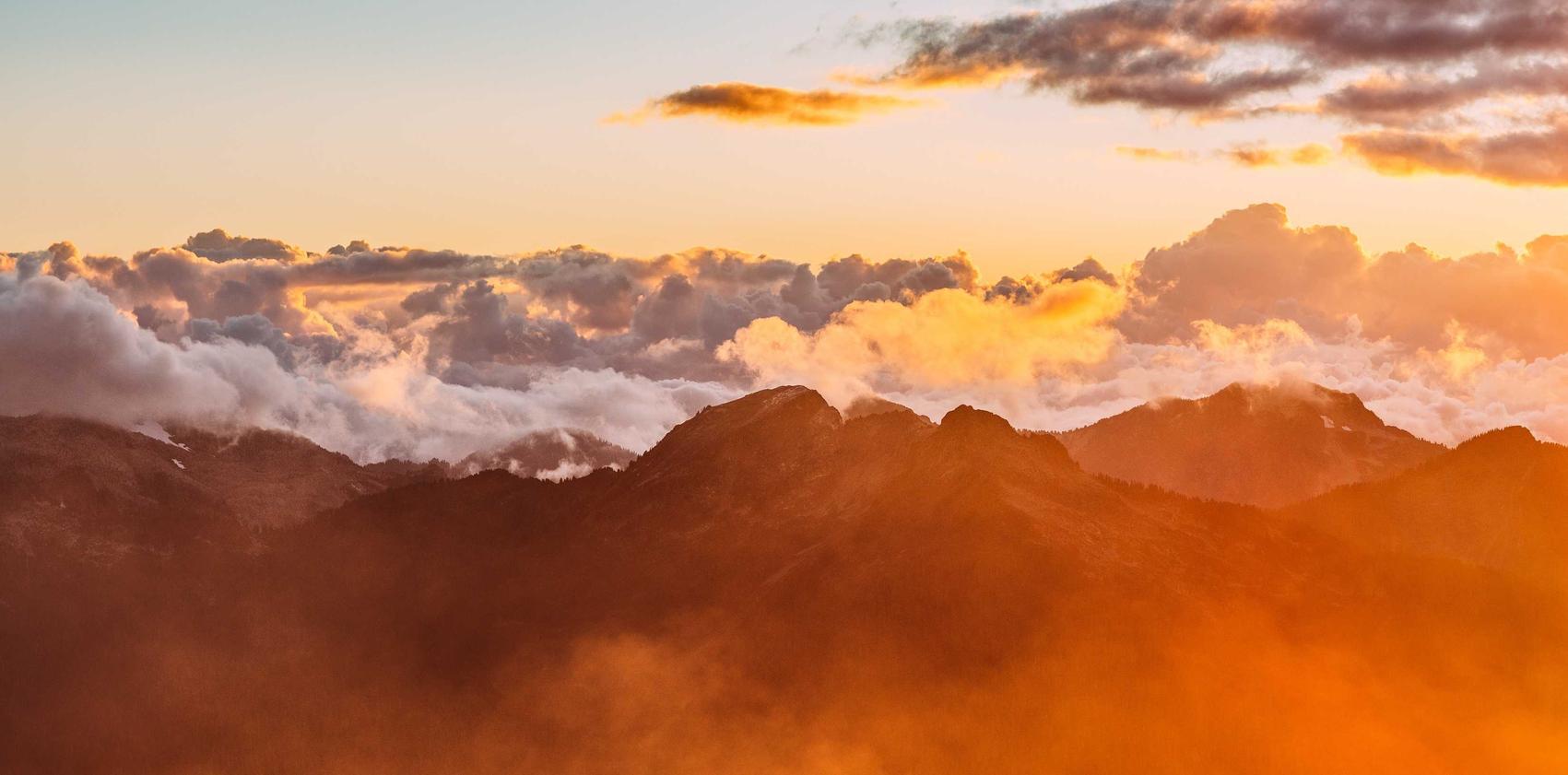 七星柔和7mg：那些平台招收代理