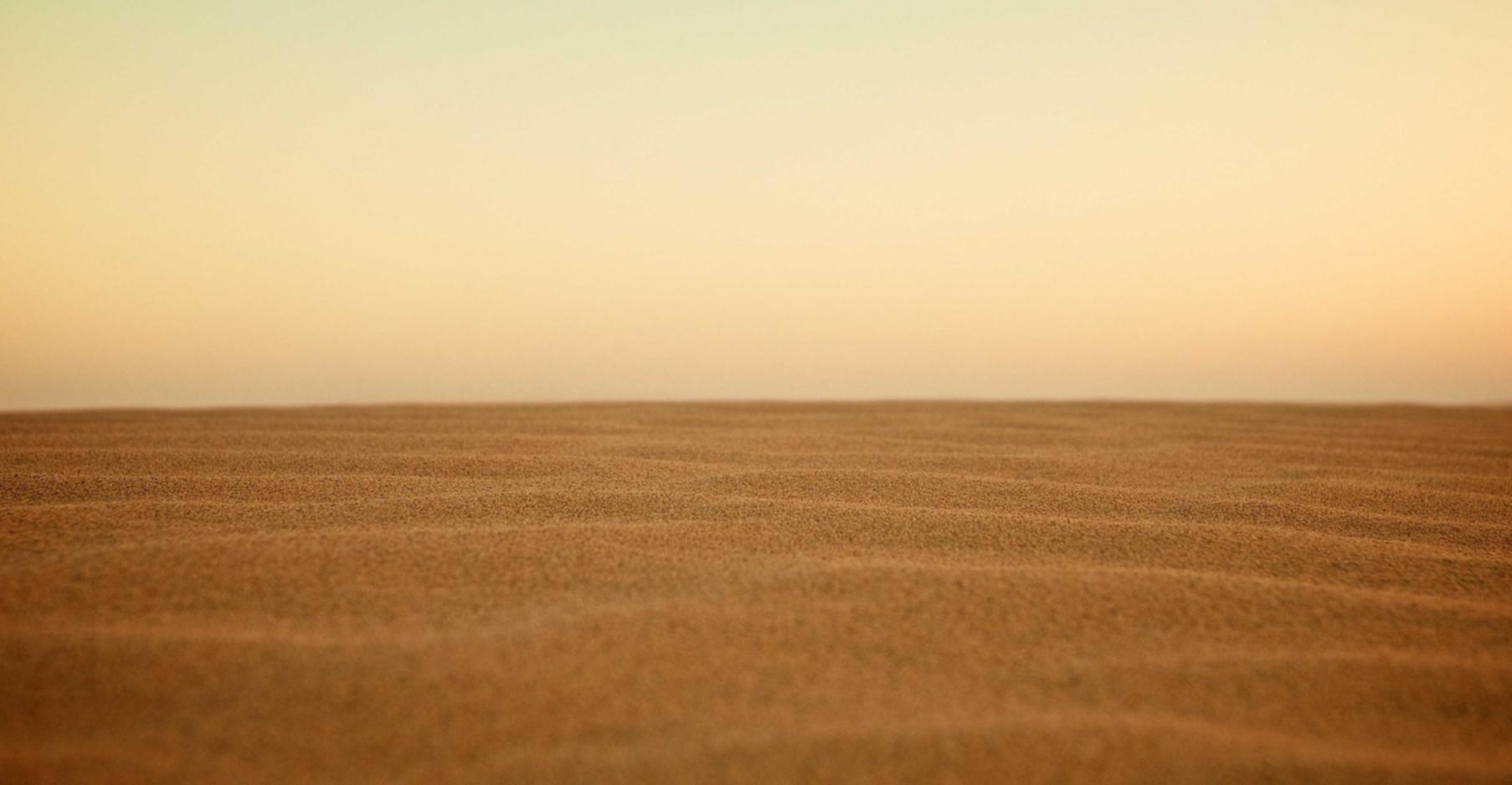 SD敢达游戏详情下载教程app