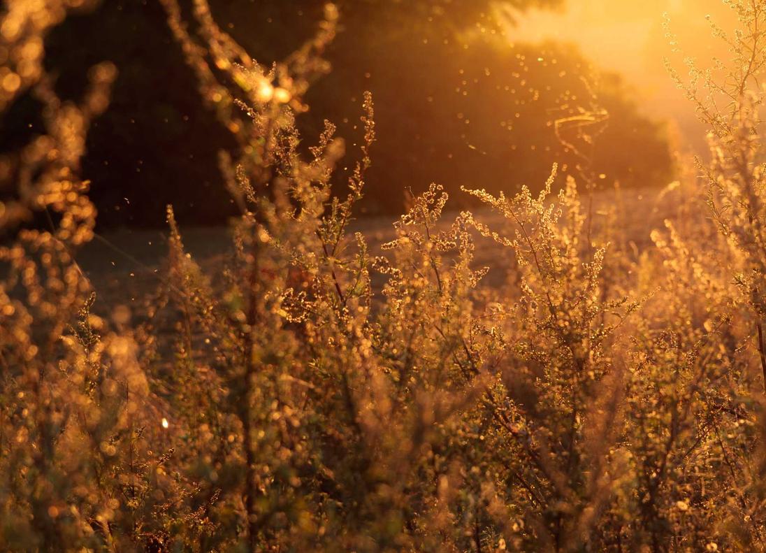 网站压力测试|宁波代理企业注册费用标准