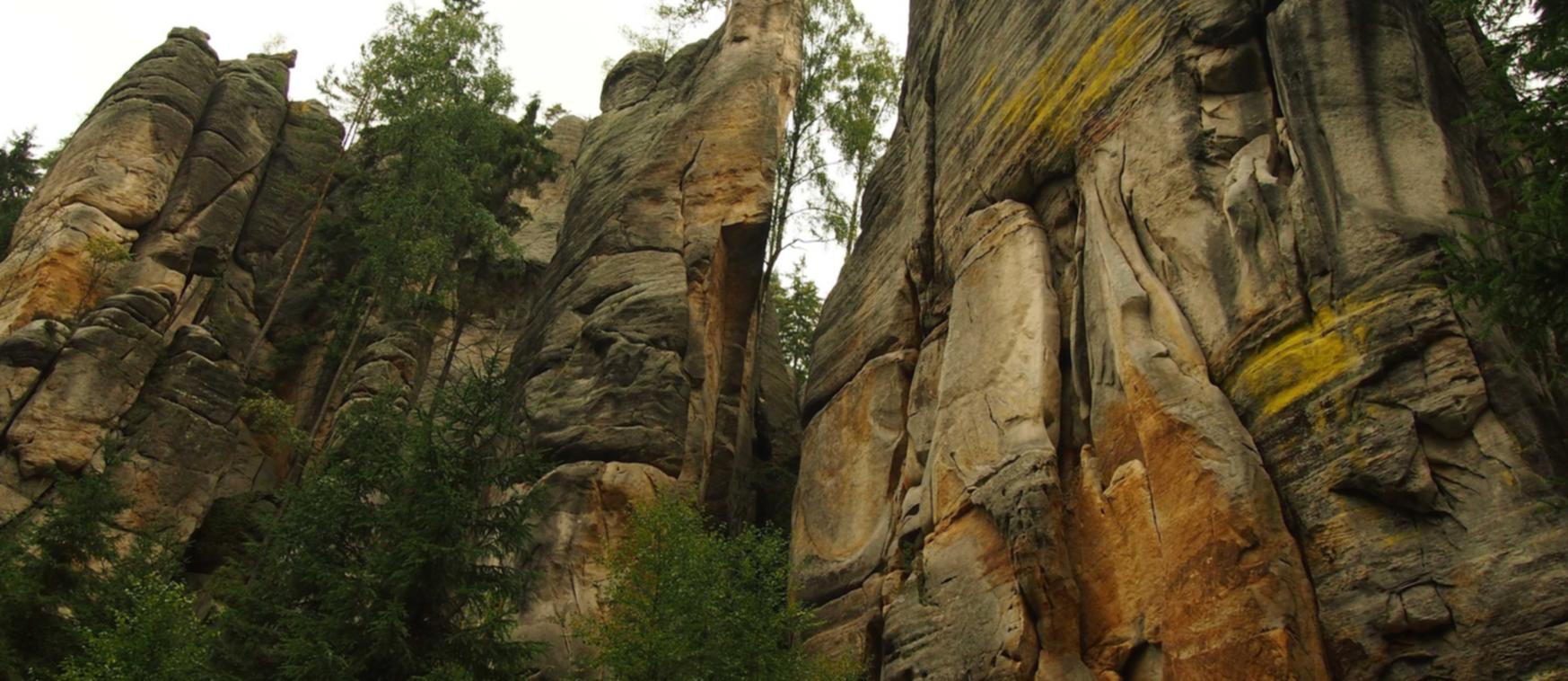 长亭科技实名账号：同城交易app详情下载教程