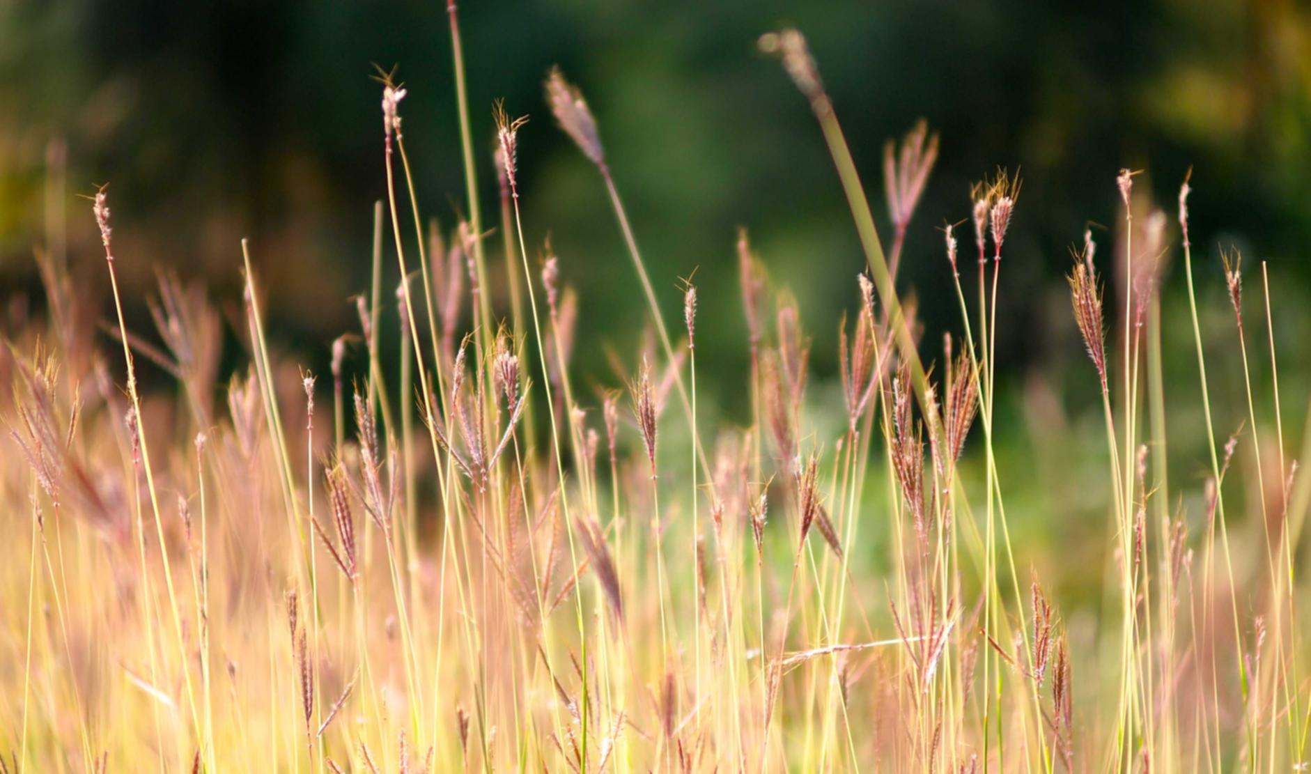 极信通信实名账号：短信如何帮助您在不同时区的国际合作 