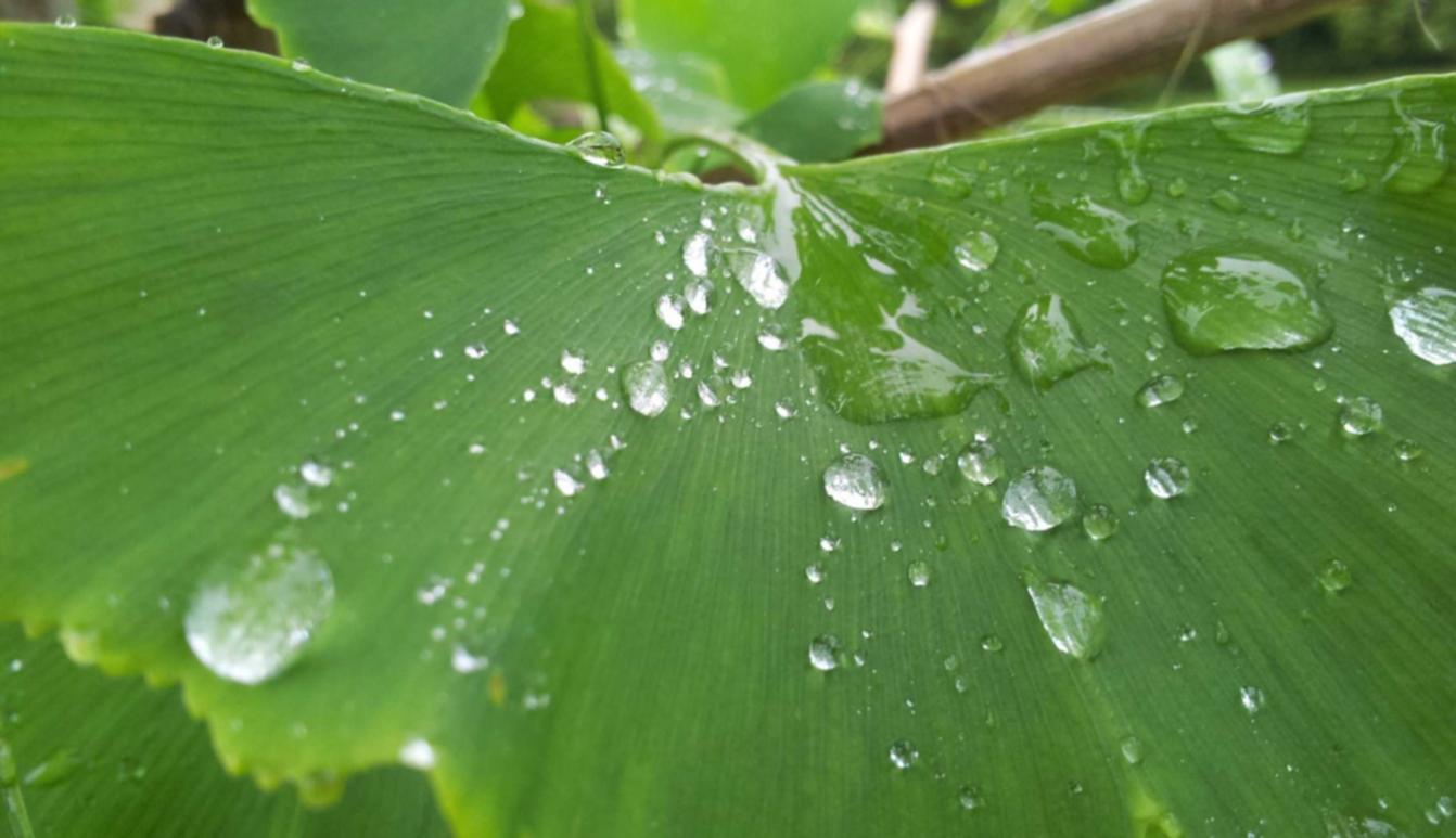 铁盒柔和七星蓝莓笔记本爆珠：用友软件购买平台