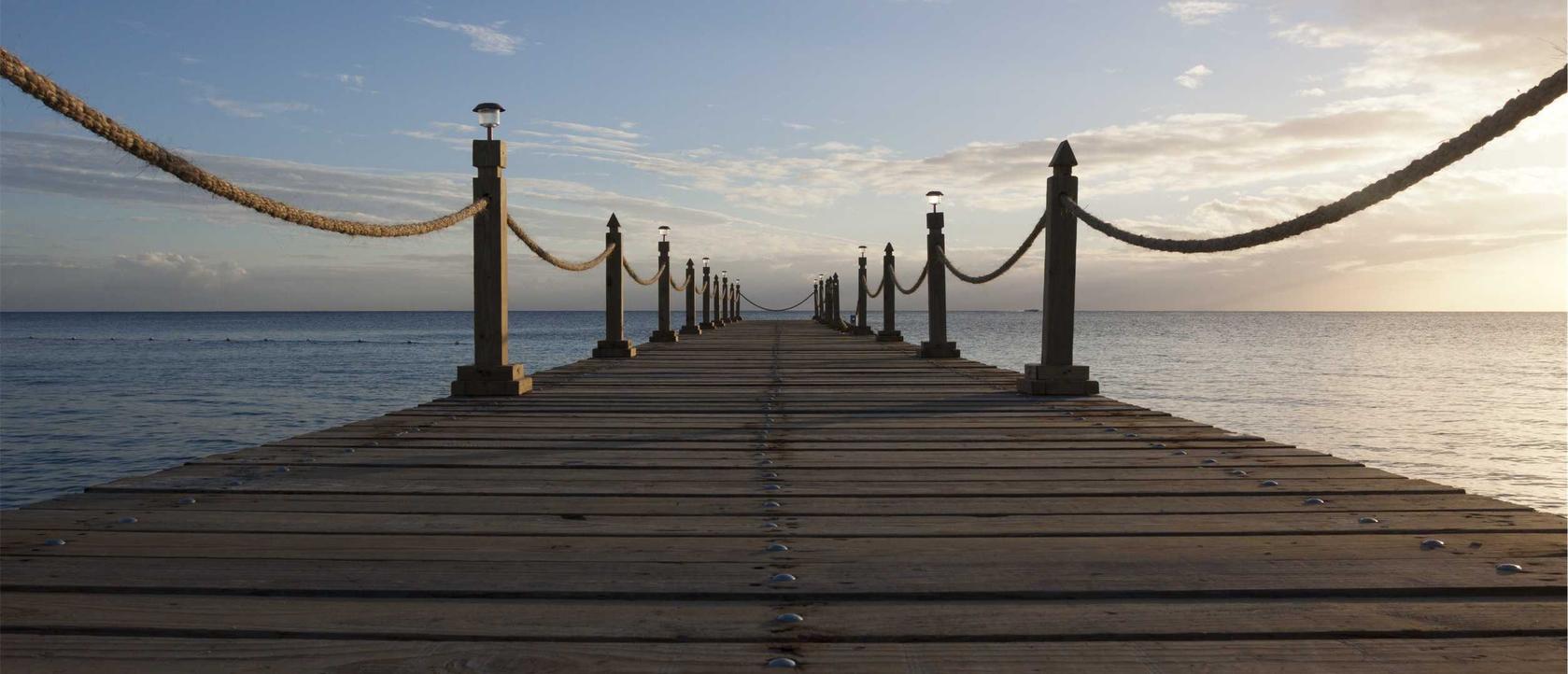 百度手机卡实名账号：网易平台怎么代理