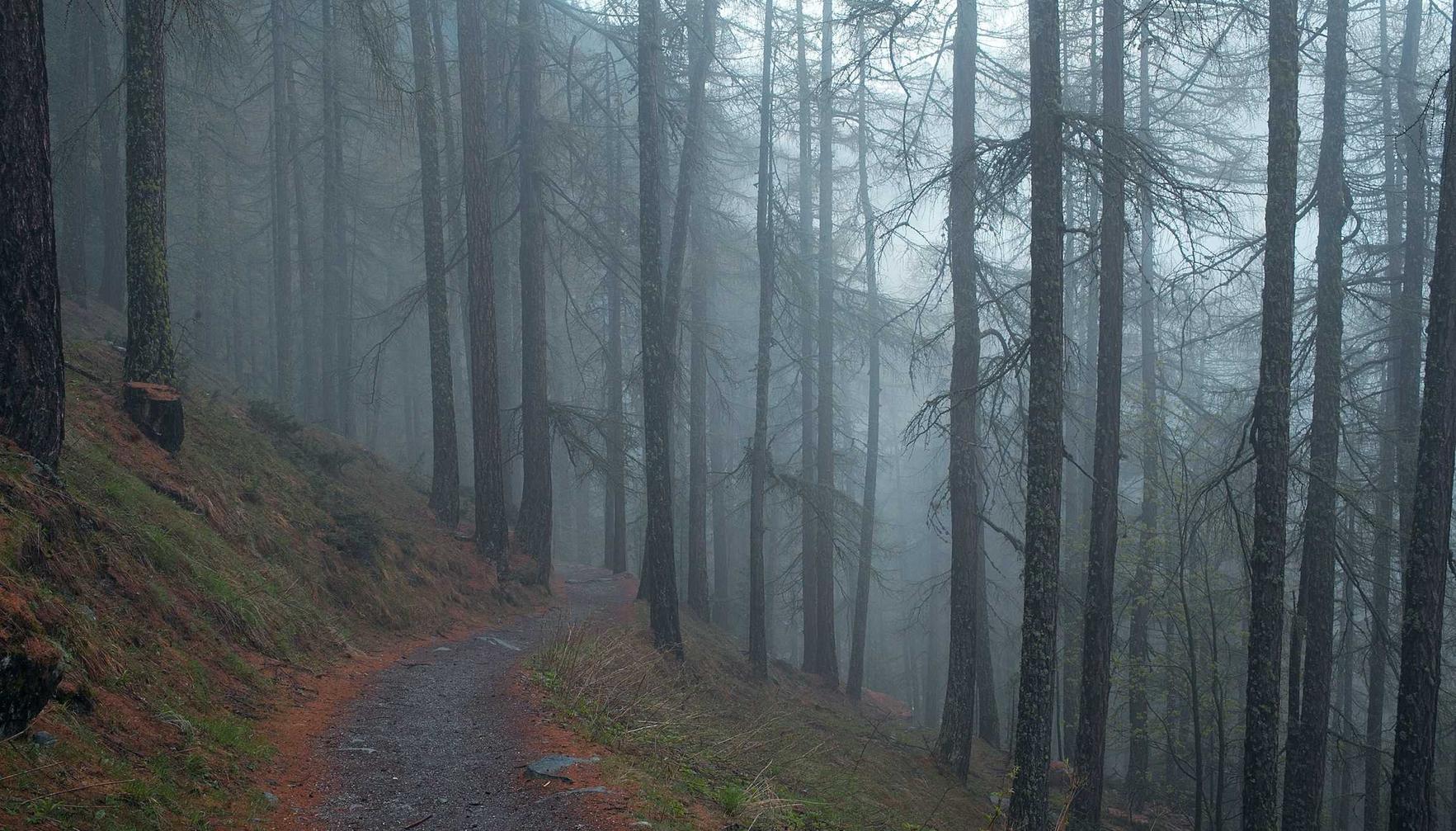 浙江代理公司注册地址