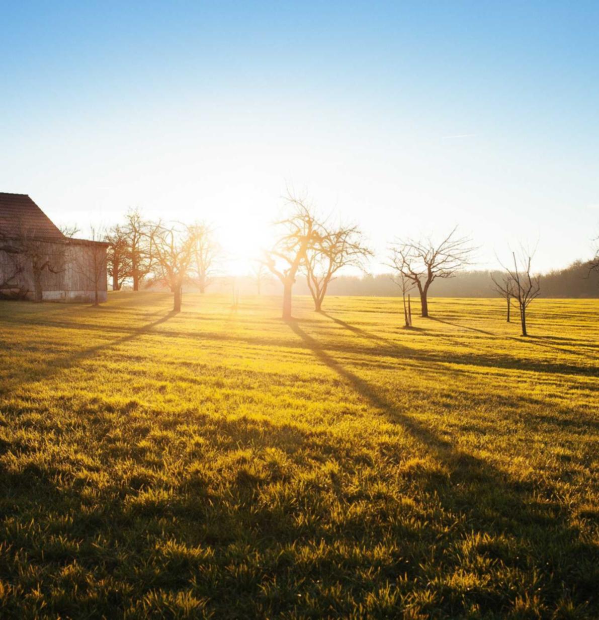 梦三国2:棋牌平台+代理
