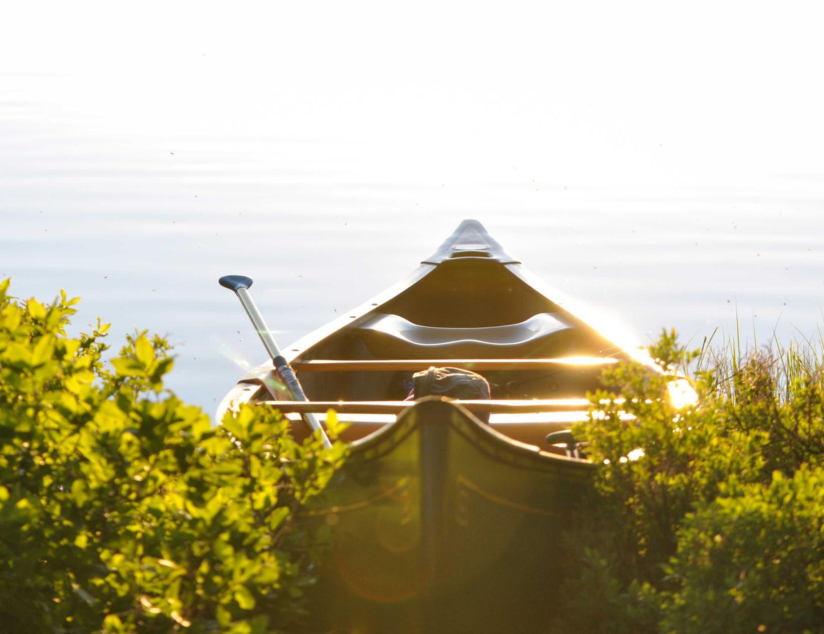 爱喜锦鲤爆珠：代理商标代理怎么注册