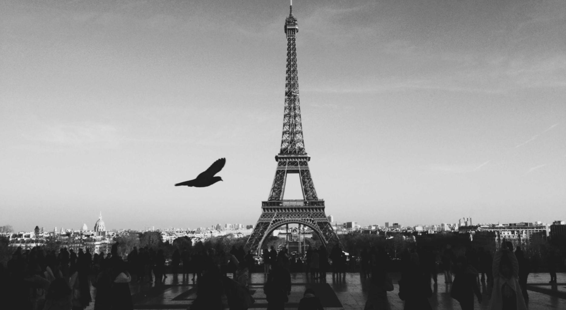 爱喜葡萄双爆珠:详情下载教程闪电借款app详情下载教程