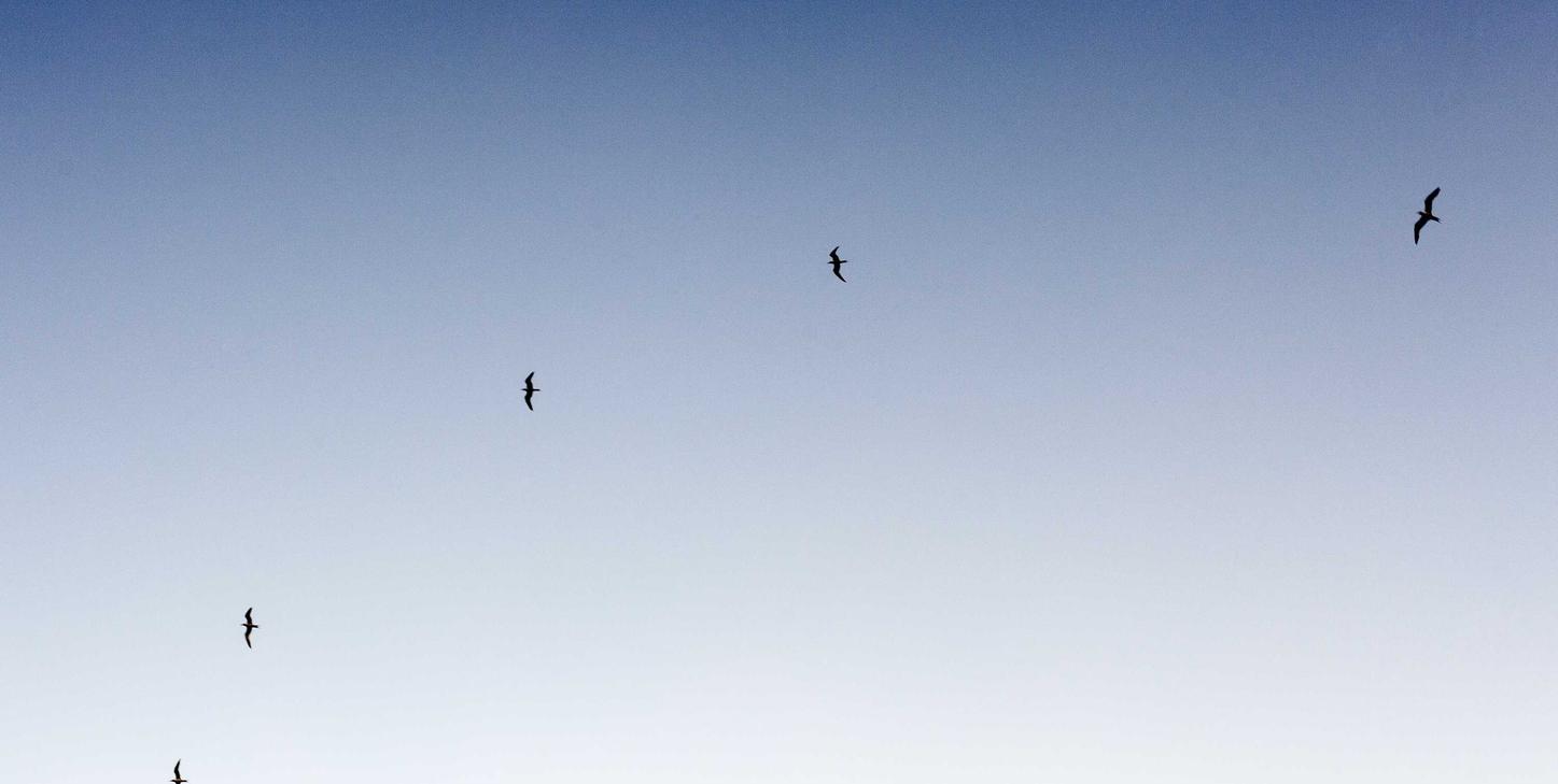 战地风云5：杭州下沙工商注册代办代理