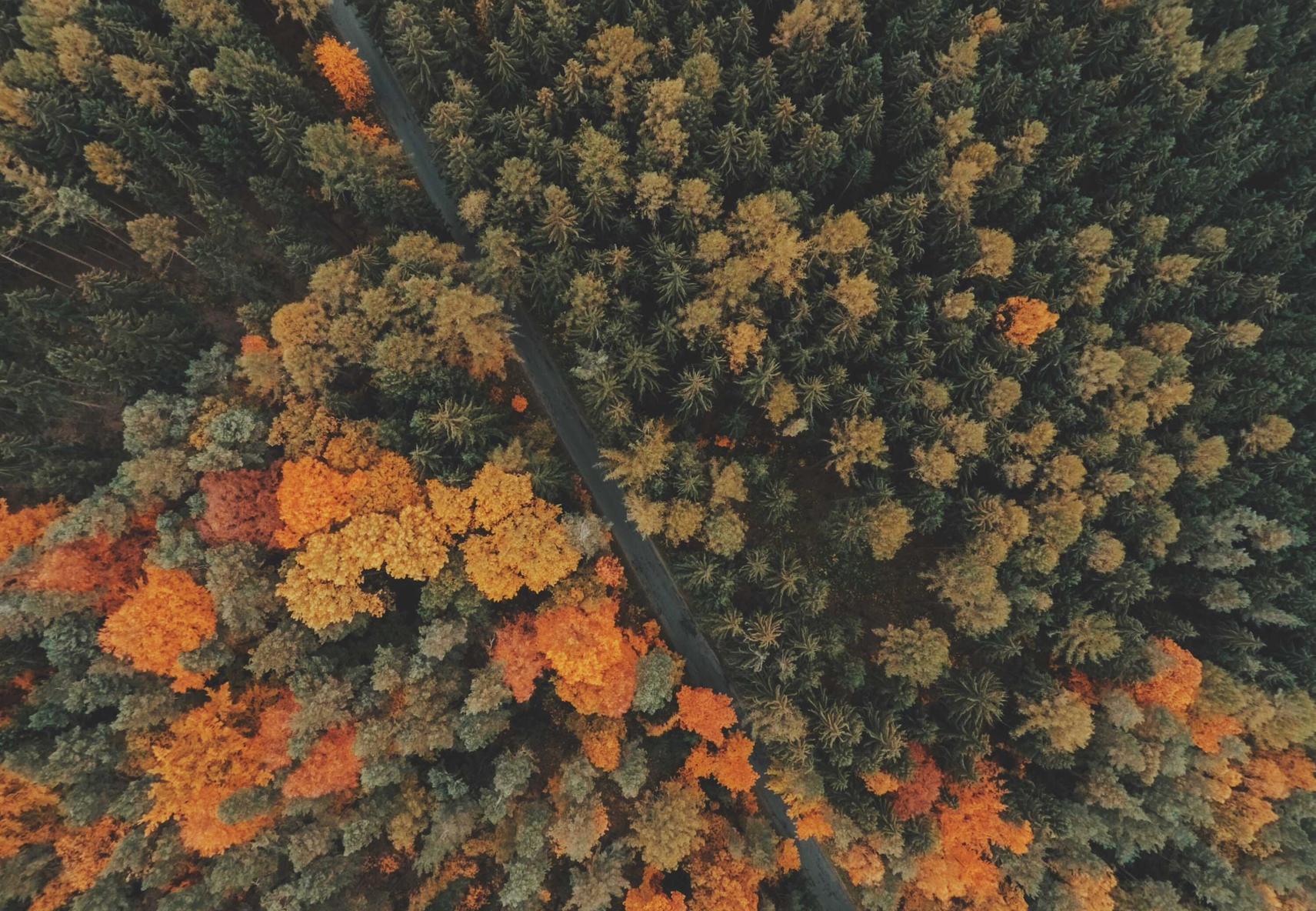 天上碑M台服：袋熊钱包app详情下载教程