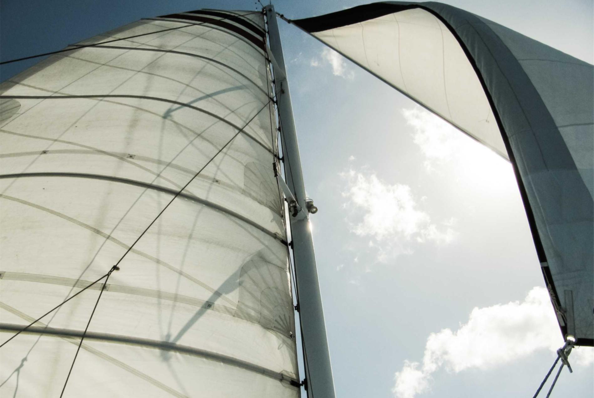 闪读app详情下载教程安装