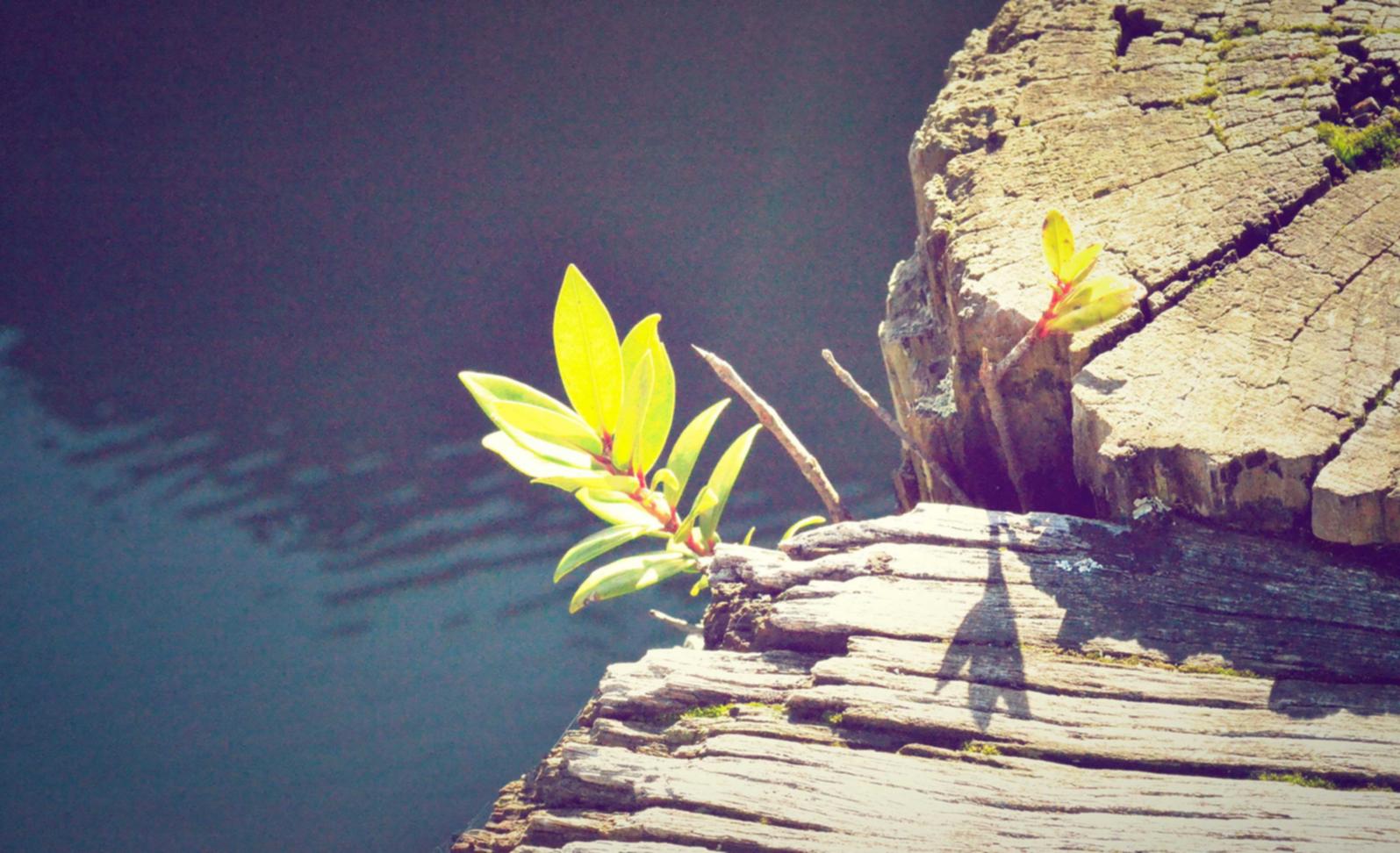 代理腾讯微信平台