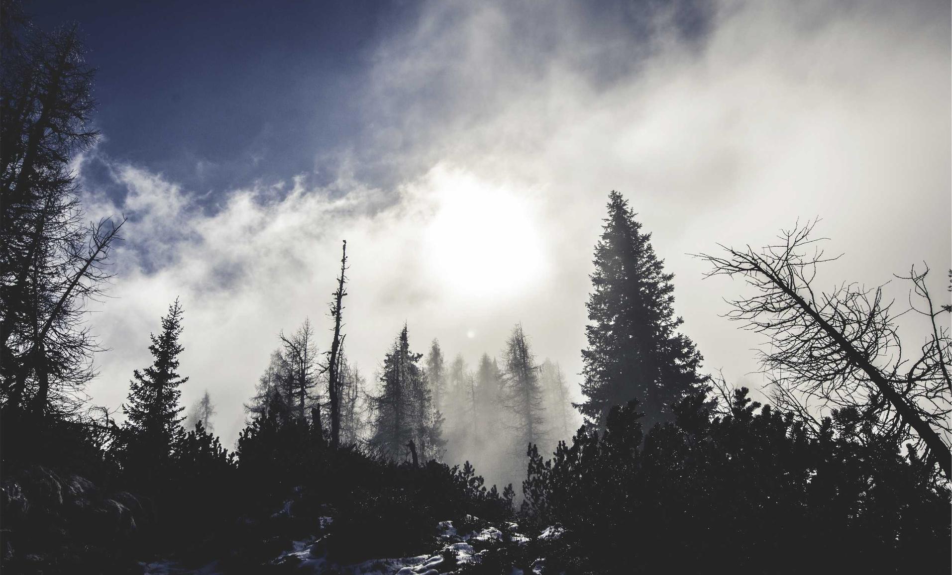 油米APP详情下载教程