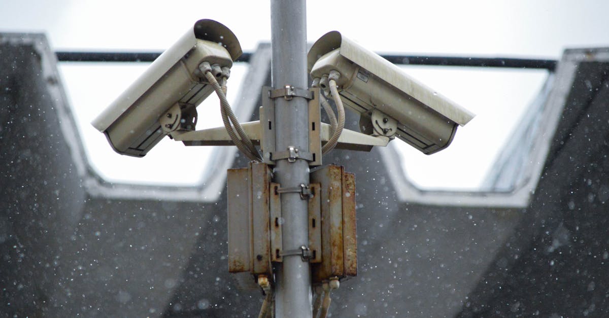 木盒红沉香（细）：全民养牛平台代理