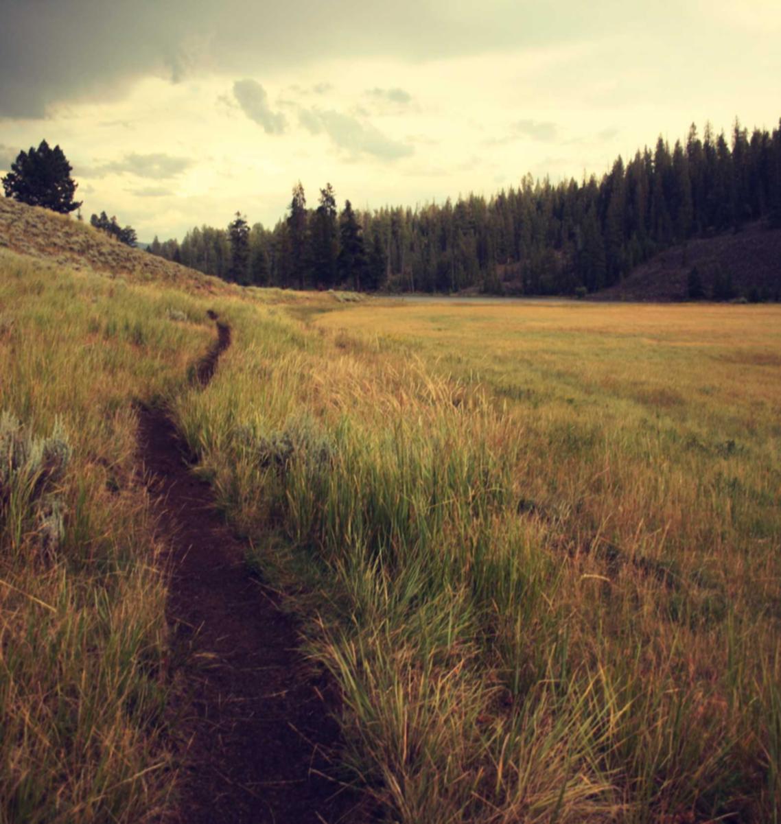 小米手机卡实名账号：磐安法律注册代理