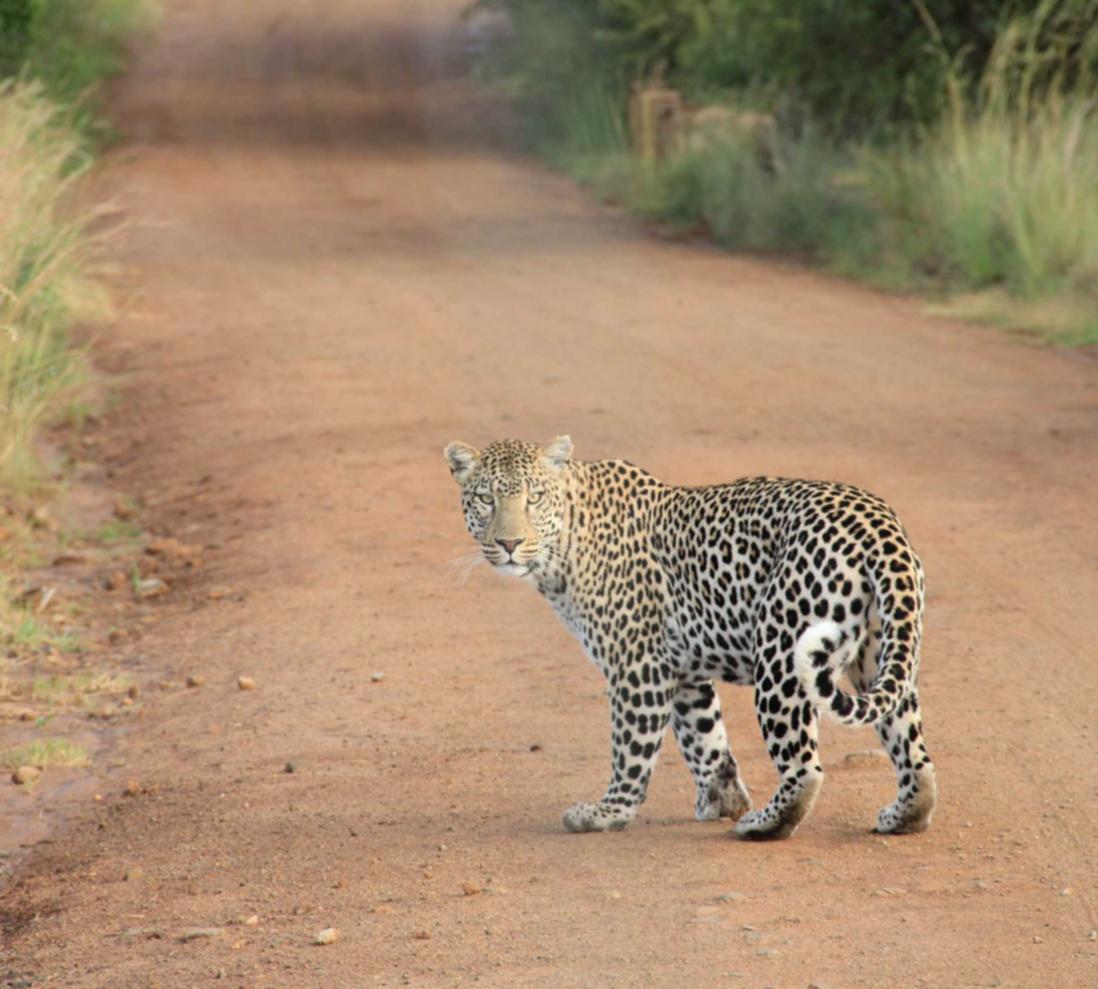 胡桃日记：代理注册基金公司的条件