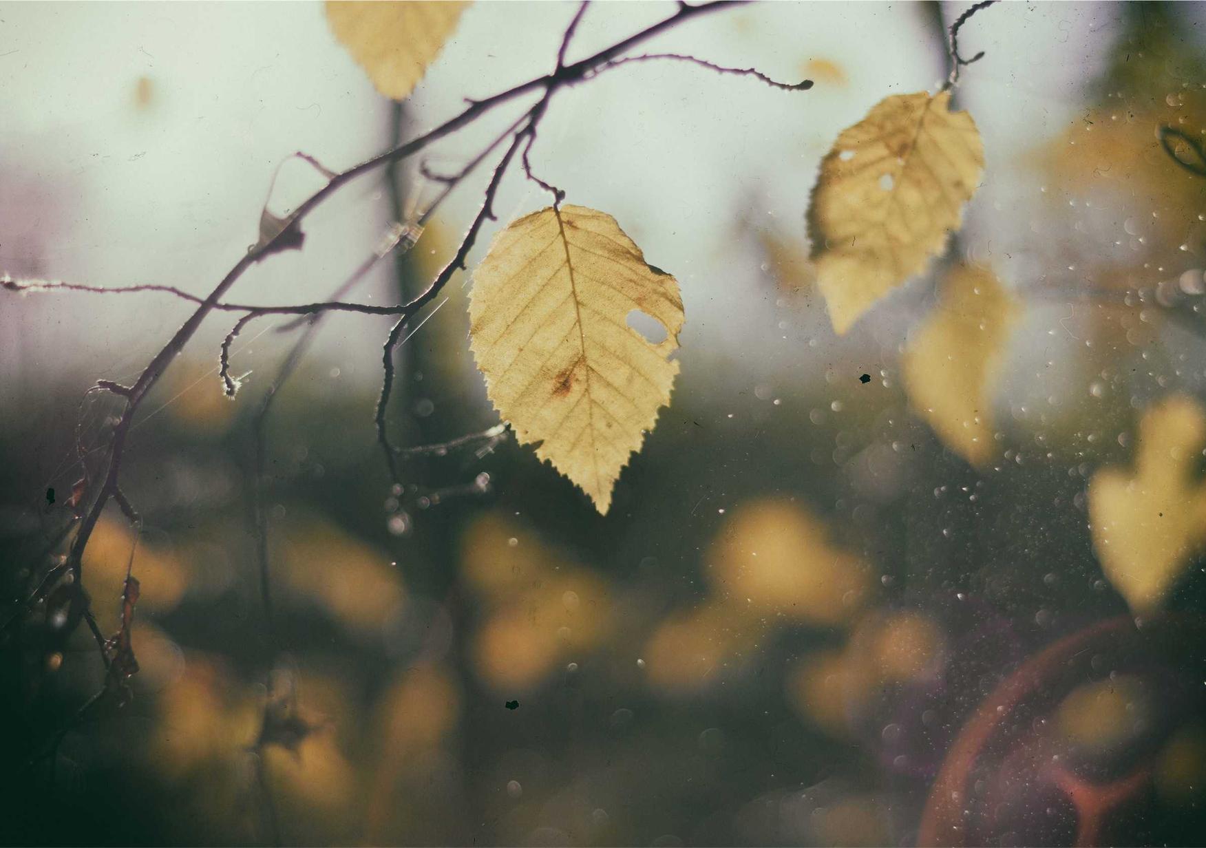 盛唐如何利用议价策略提升销售