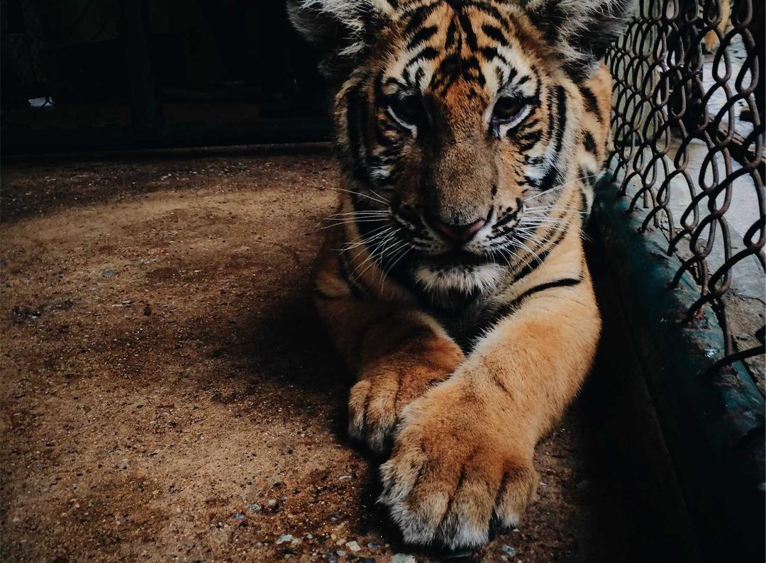 如何使用SEO优化您的批发网站