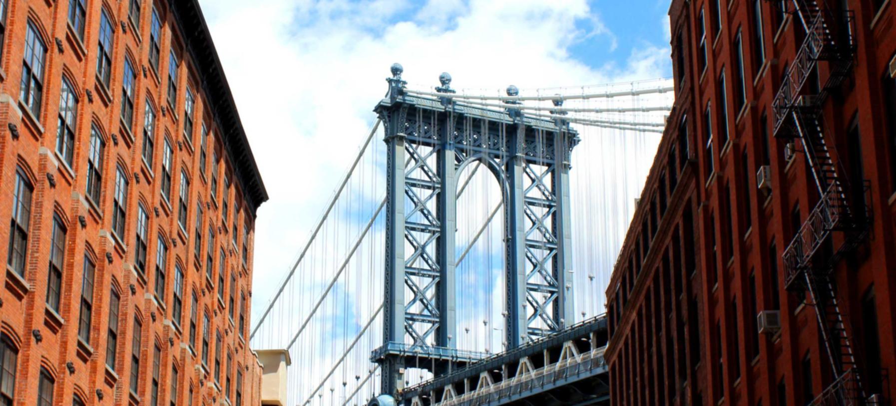 约战：精灵再临：山东广电app官方详情下载教程