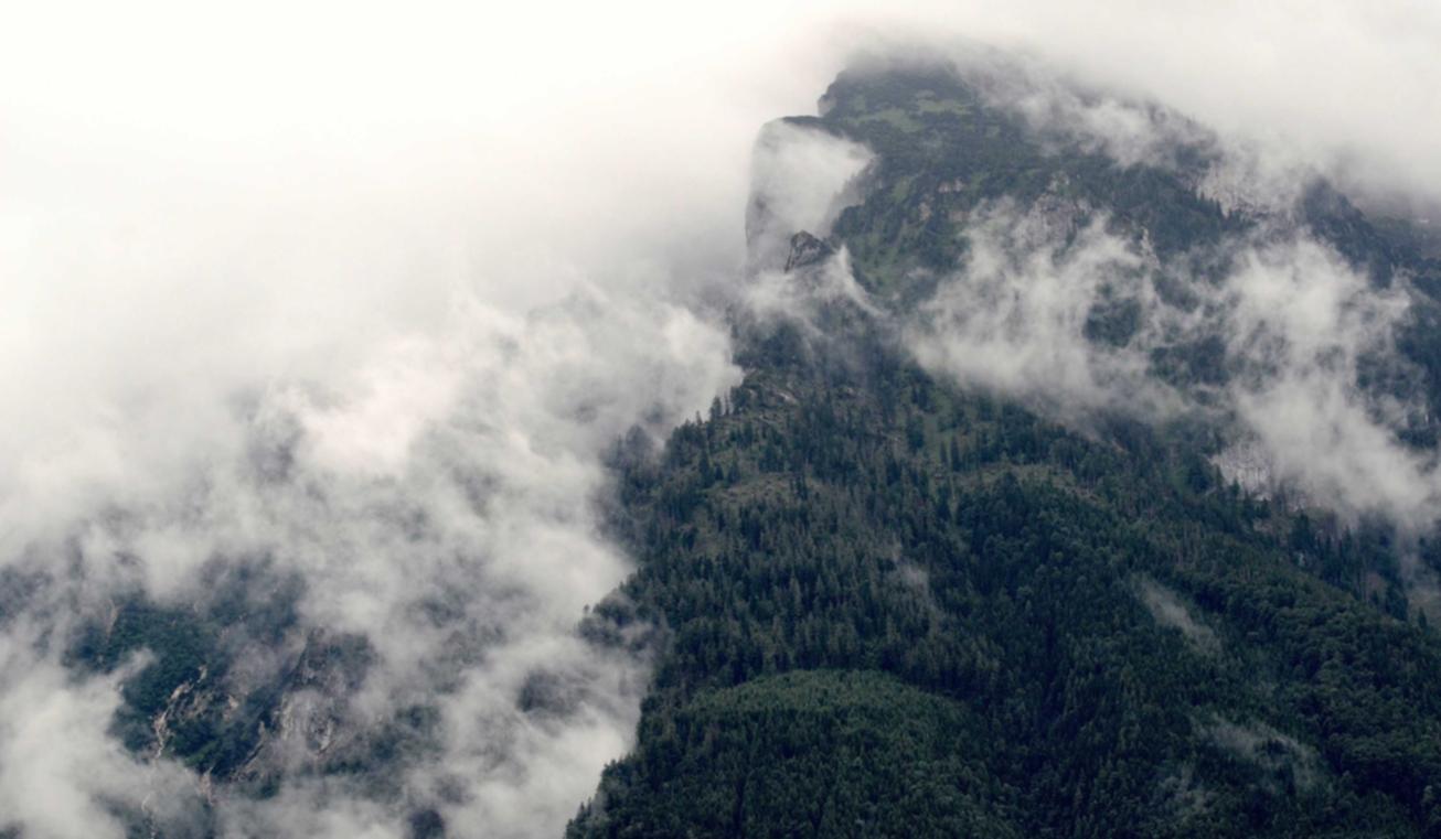 新宝6哈哈文库app详情下载教程