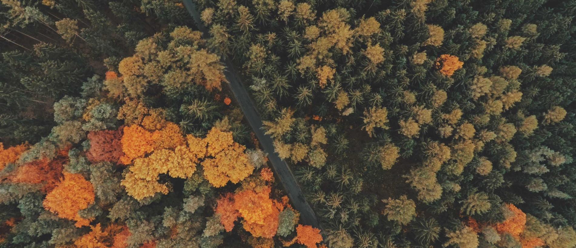 解读如果处理DDOS攻击- 阴阳师游戏官方账号注册