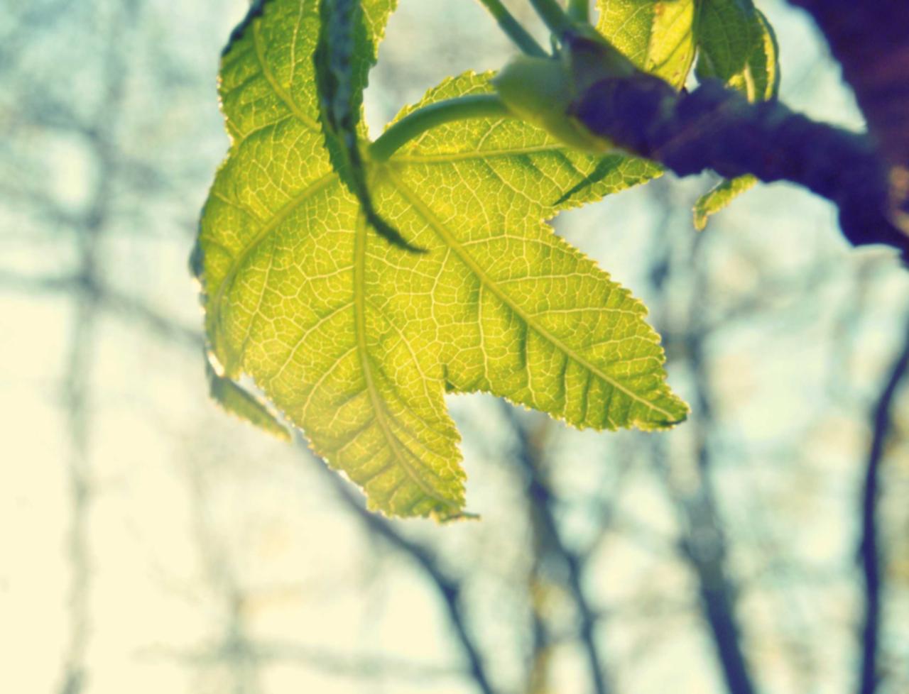 在加密和网络安全方面采取的正确措施