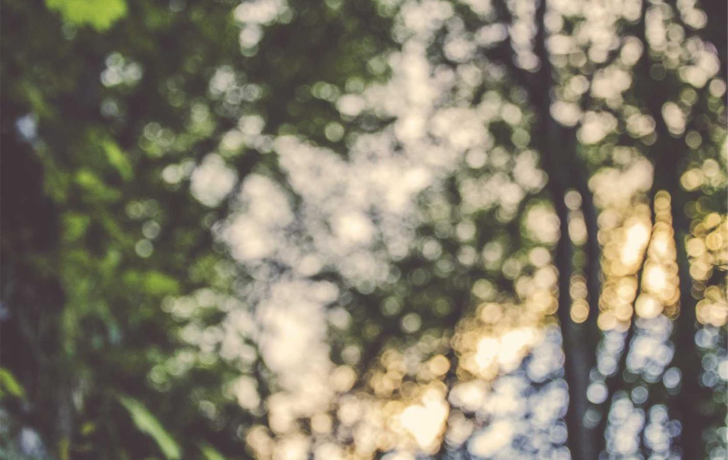 苹果详情下载教程桌面app