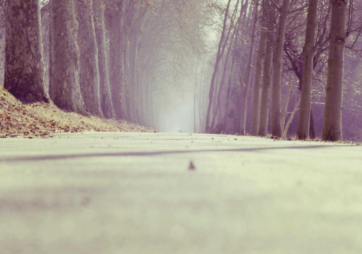 游戏技术支持辅助如何在赛事中发挥作用?