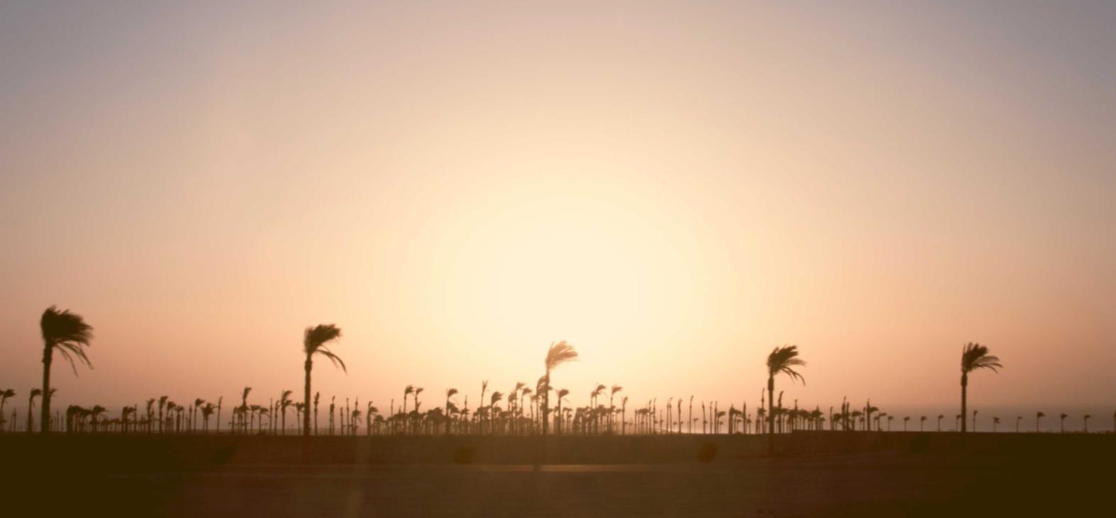 在线双语服务团队:瑞安公司工商代理注册信息