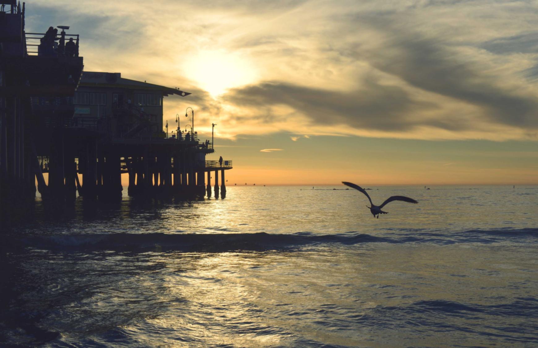 三网卡实名账号:详情下载教程点刷app详情下载教程