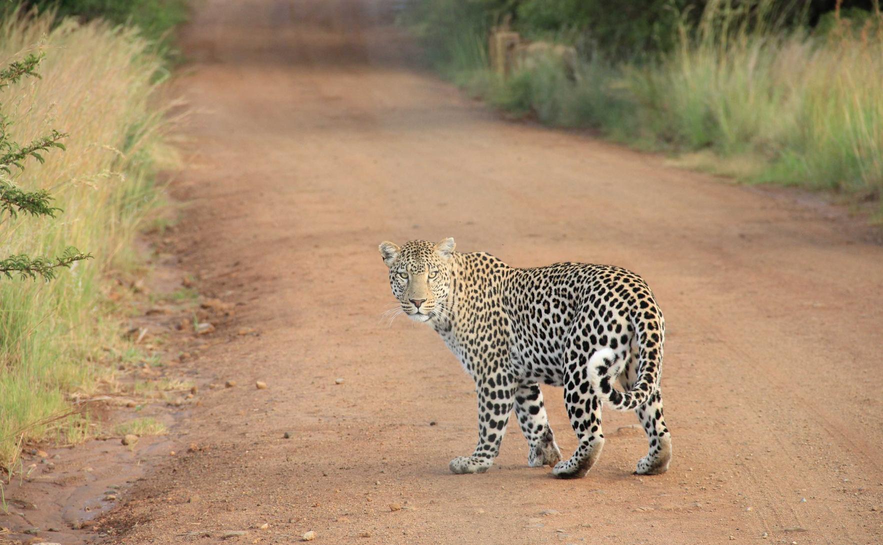 缙云注册公司代理