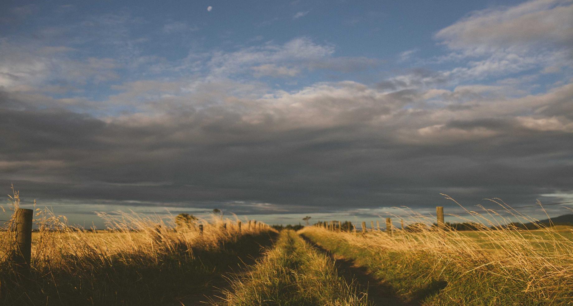 国外微信号:苏州喷码机购买平台