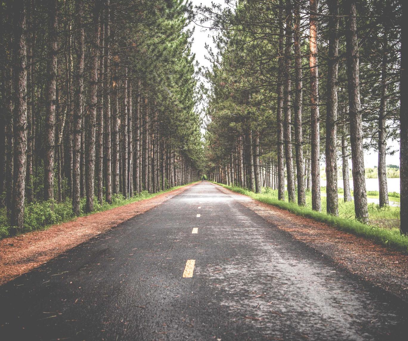 阴阳师妖怪屋辅助- 黔东南工商注册代理记账