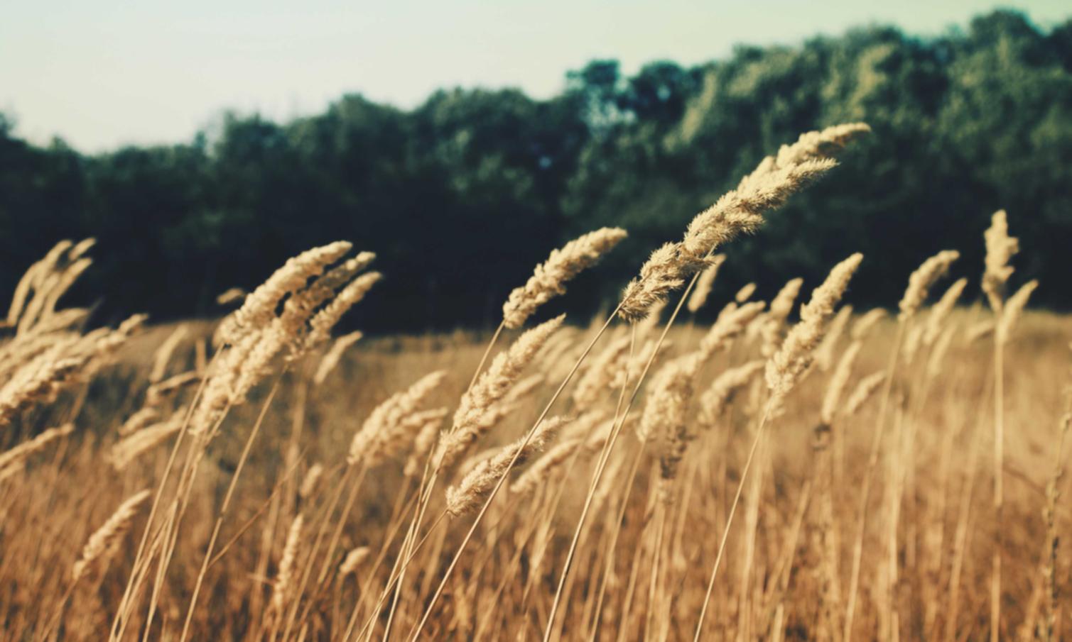 镜面爱喜冰爆珠：腾讯购买股票平台