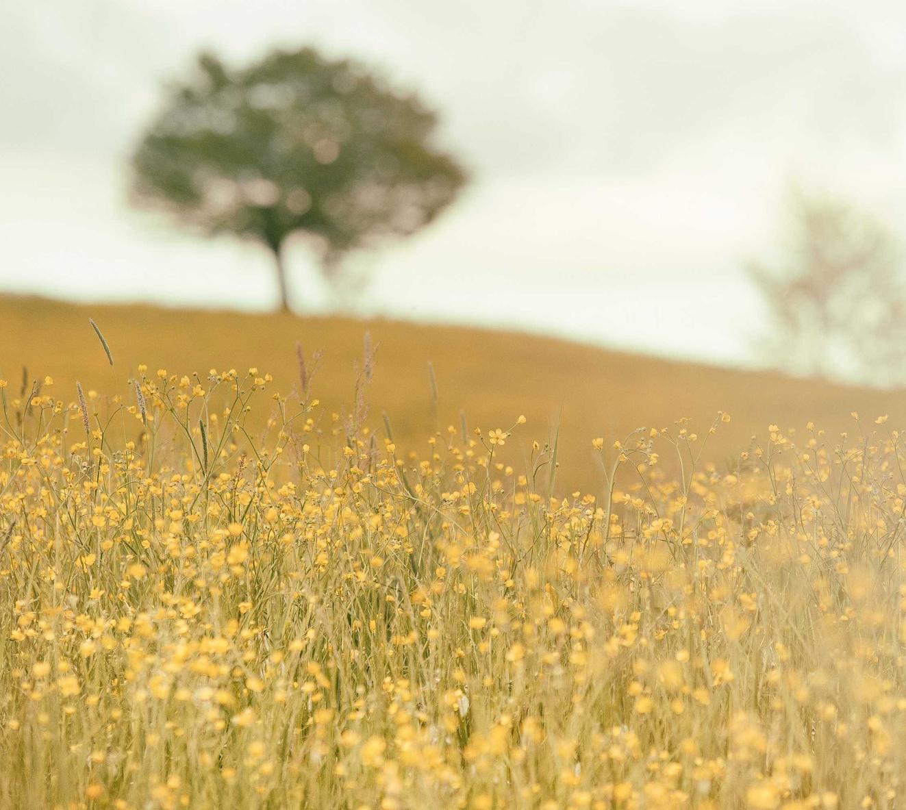 实名支付宝买卖：昂达平板电脑游戏详情下载教程app