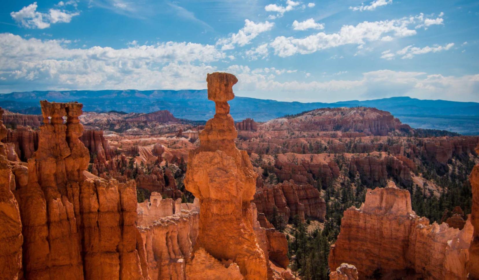 币安实名账号：g 广告平台代理