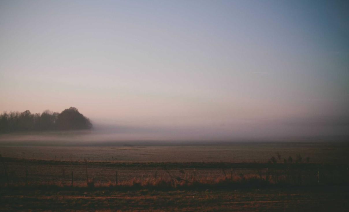 代理ip平台创业