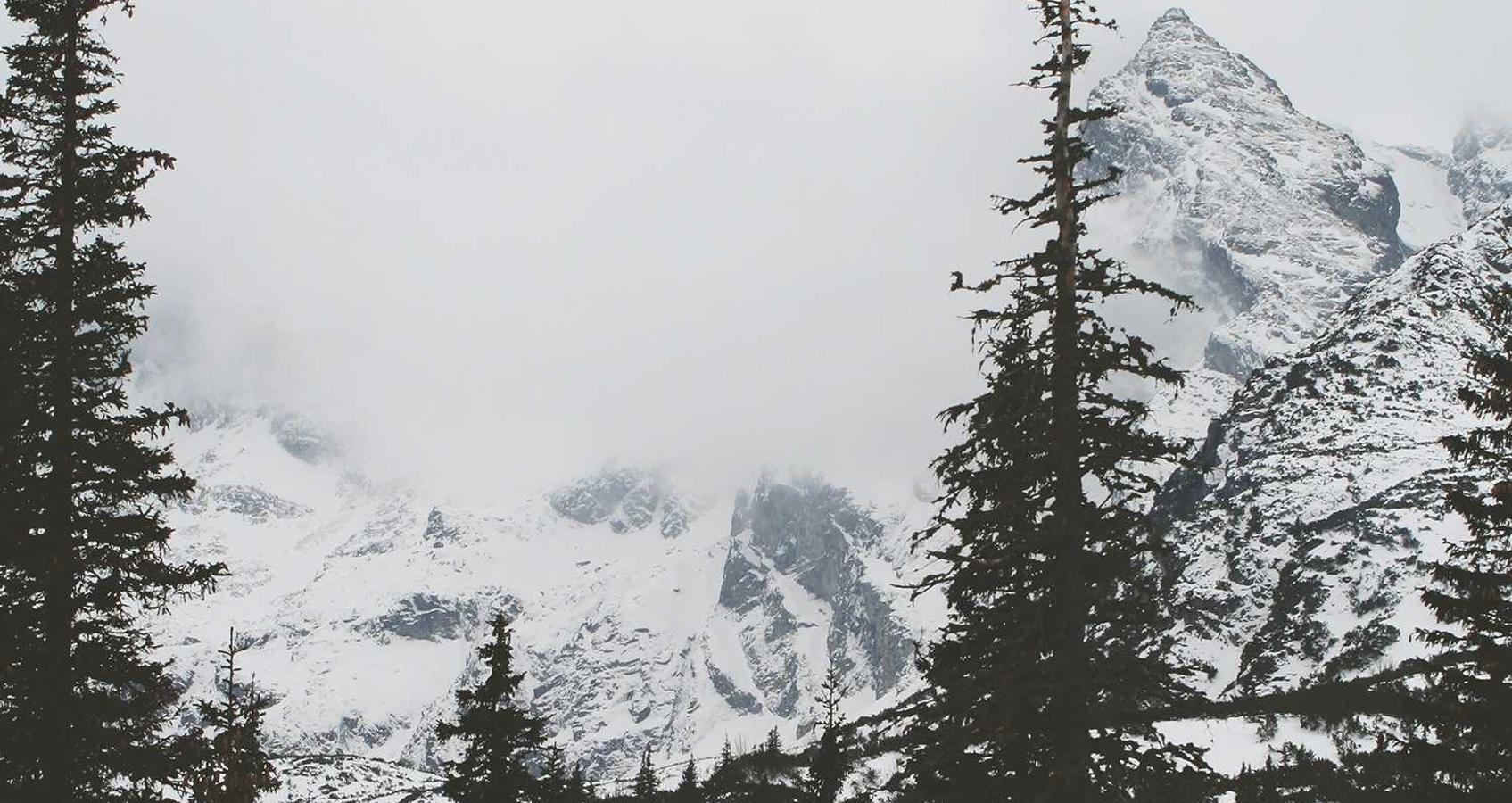 快手实名账号：软件开发代理注册送注册金