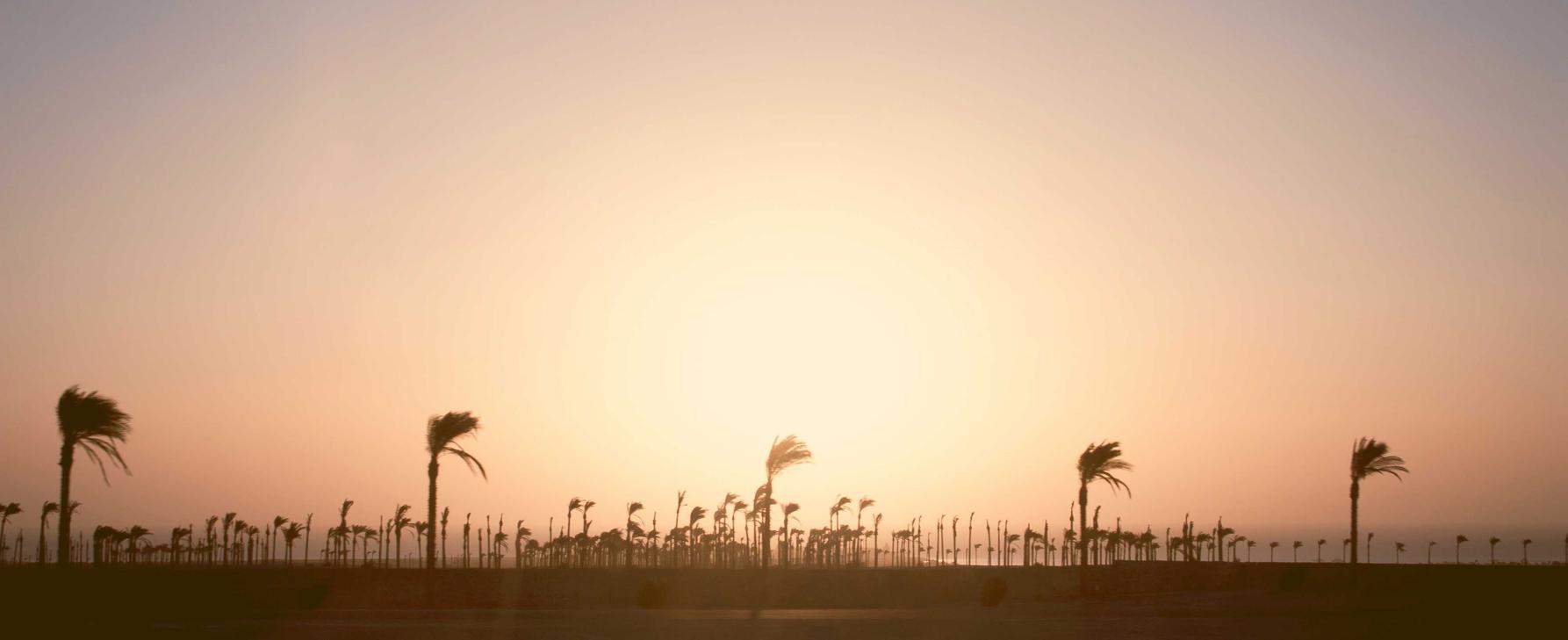 买卖微信号后：莱芜代理易货换货平台