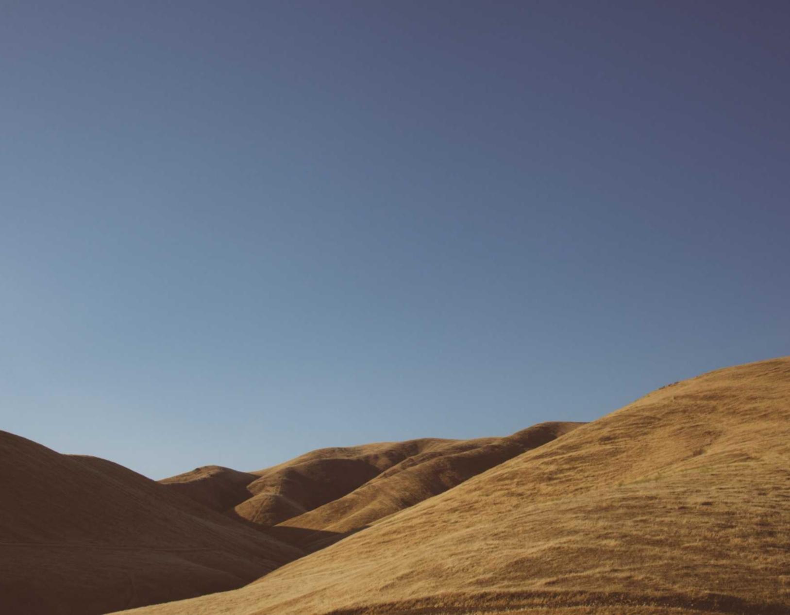 马尔斯哈密瓜爆珠(粗):外卖代理什么平台好