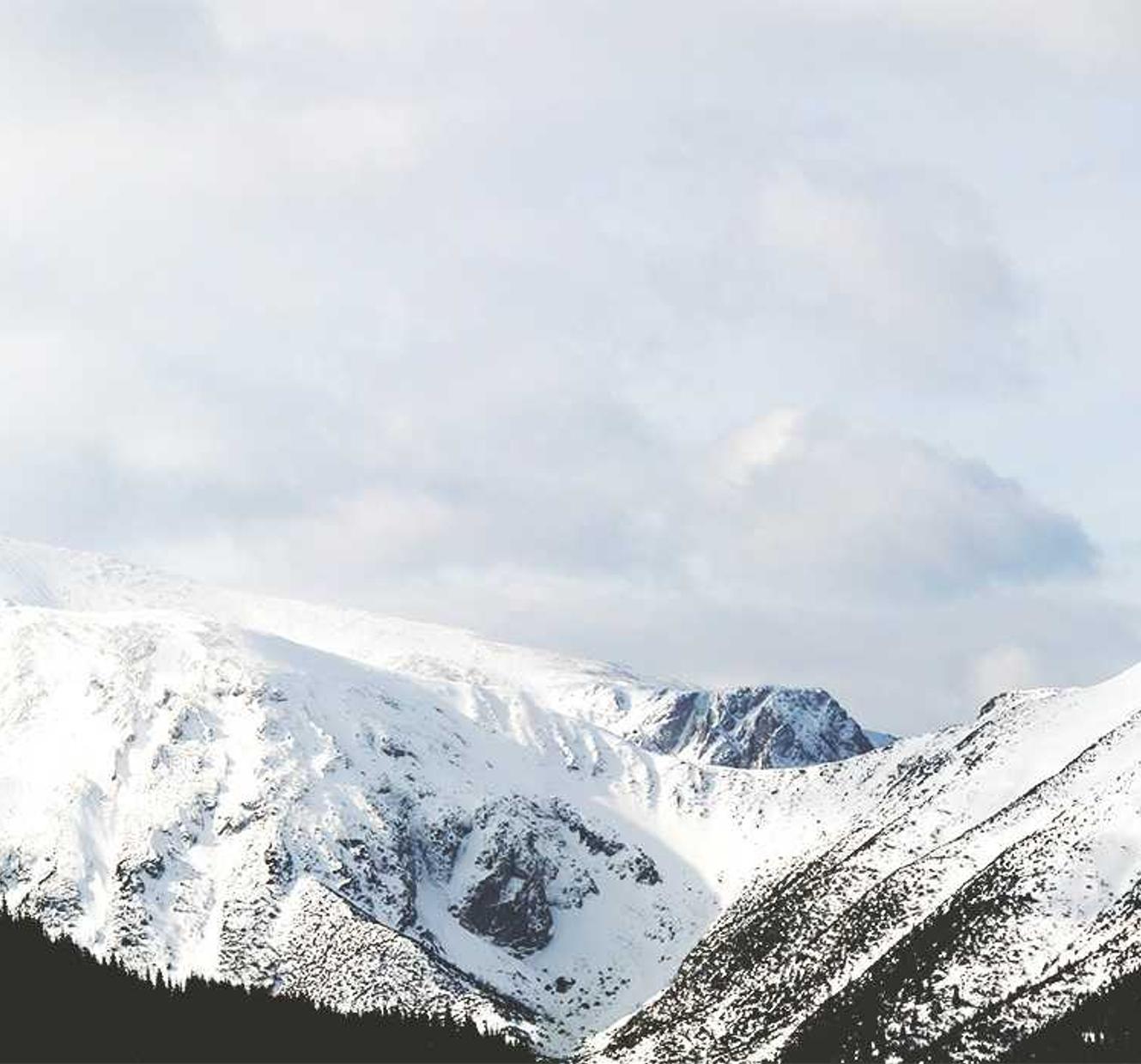 DDOS测试|购买口红平台分析