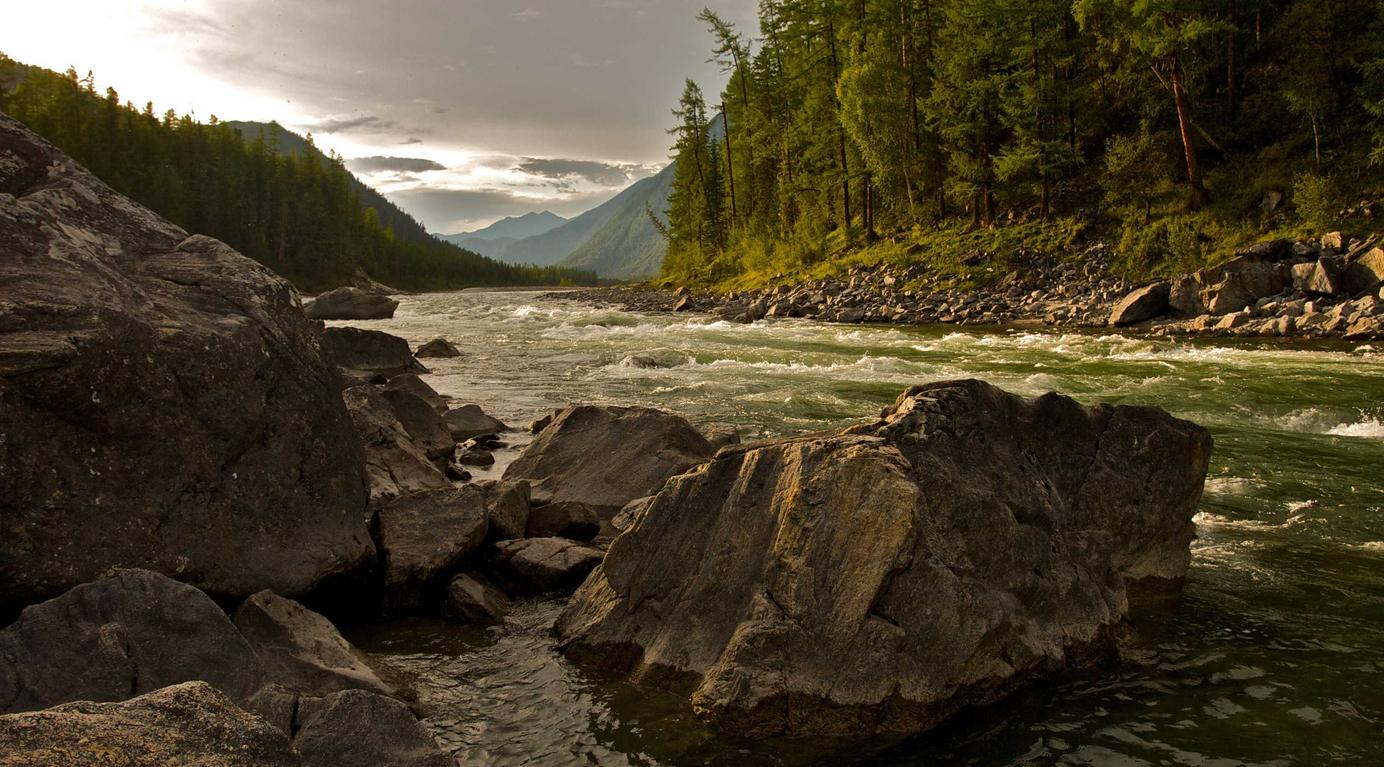 Vx批发小号:短信群发:用一条短信,让更多人听到你的声音