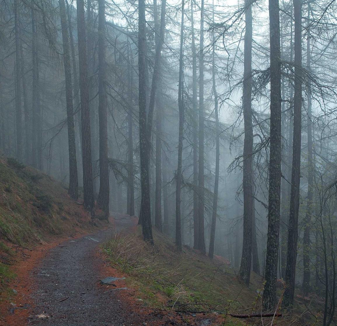58同城实名账号:海运代理公司注册