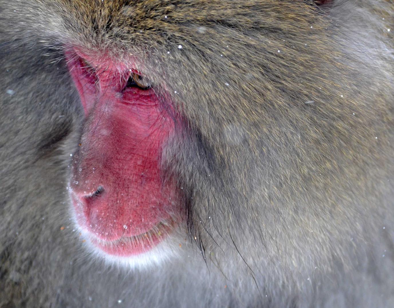 会计之家怎么注册账号